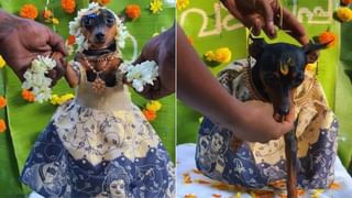 Watch: తందూరీ సొరకాయ కూర.. వైరల్‌గా మారిన స్పెషల్ వంటకం.. చూస్తేనే నోరూరుతోంది..!