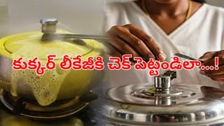 Tips To Remove Stains: మీ చొక్కాపై మొండి మరకలు పోవడం లేదా.. ఈ చిట్కాలు ట్రై చేయండి ఈజీ..!