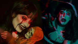 Tomato Seeds: టమాట గింజలు తింటే కిడ్నీల్లో రాళ్లు ఏర్పడతాయా?