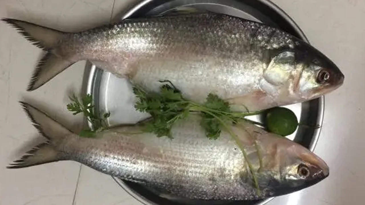 కంటి చూపుకు మేలు చేస్తుంది: నిపుణుల అభిప్రాయం ప్రకారం.. చేపలలో లభించే ఒమేగా -3 కొవ్వు ఆమ్లాలు కంటి చూపును మెరుగుపరచడంలో సహాయపడతాయి. WebMD ప్రకారం.. కంటి రెటీనాకు రెండు రకాల ఒమేగా-3 కొవ్వు ఆమ్లాలు అవసరం. ఇవి DHA, EPA. ఈ రెండు కొవ్వు ఆమ్లాలు సాల్మన్, ట్యూనా, ట్రౌట్ వంటి చేపలలో కనిపిస్తాయి.