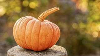 Sabudana Vada Recipe: ఉపవాసంలో కూడా తినగలిగే సాబుదానా వడ.. పది నిమిషాల్లో రెడీ!