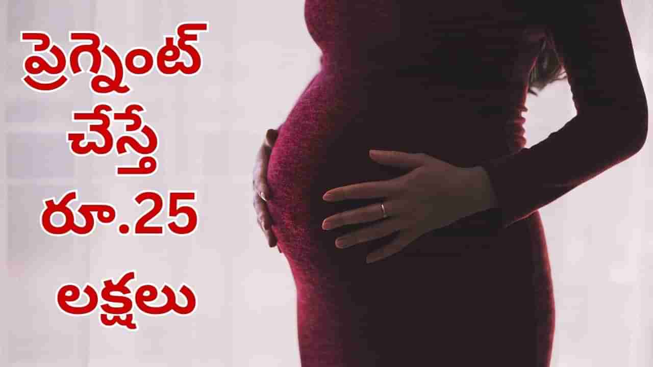 బంపర్ ఆఫర్.. ప్రెగ్నెంట్ చేస్తే రూ.25 లక్షలు.. దెబ్బకు టెంప్ట్ అయిన కాంట్రాక్టర్.. చివరకు..