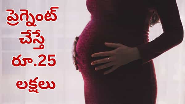 బంపర్ ఆఫర్.. ప్రెగ్నెంట్ చేస్తే రూ.25 లక్షలు.. దెబ్బకు టెంప్ట్ అయిన కాంట్రాక్టర్.. చివరకు..