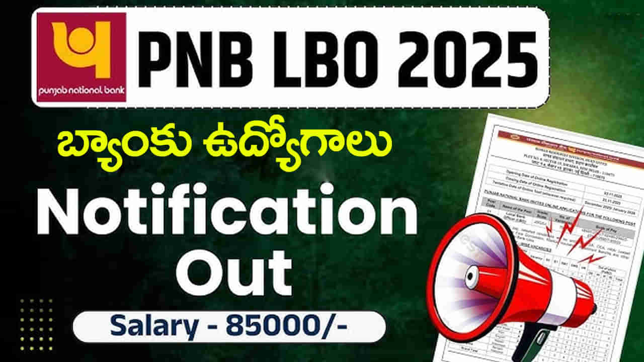 PNB Bank Jobs 2025: డిగ్రీ అర్హతతో పంజాబ్ నేషనల్ బ్యాంకులో ఉద్యోగాలు.. నెలకు రూ.85 వేల జీతం