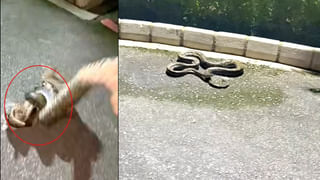 Viral Video: వయసుపైబడినా తగ్గని ప్రేమానురాగాలు..! గుండెల్ని పిండేస్తున్న అద్భుత వీడియో వైరల్‌…