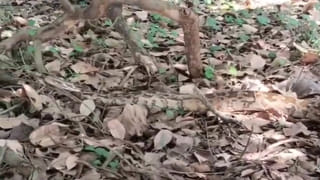 Andhra: ఏముంది.. అక్కడంతా చెత్తేగా అనుకోకండి.. పొరపాటున కాలు పెడితే ఖేల్ ఖతం..