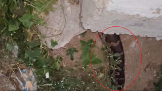 Telangana: వాహనదారులకు బిగ్ అలర్ట్.. రెండోసారి దొరికితే ఇక అంతే.. మరింత కఠినంగా రూల్స్