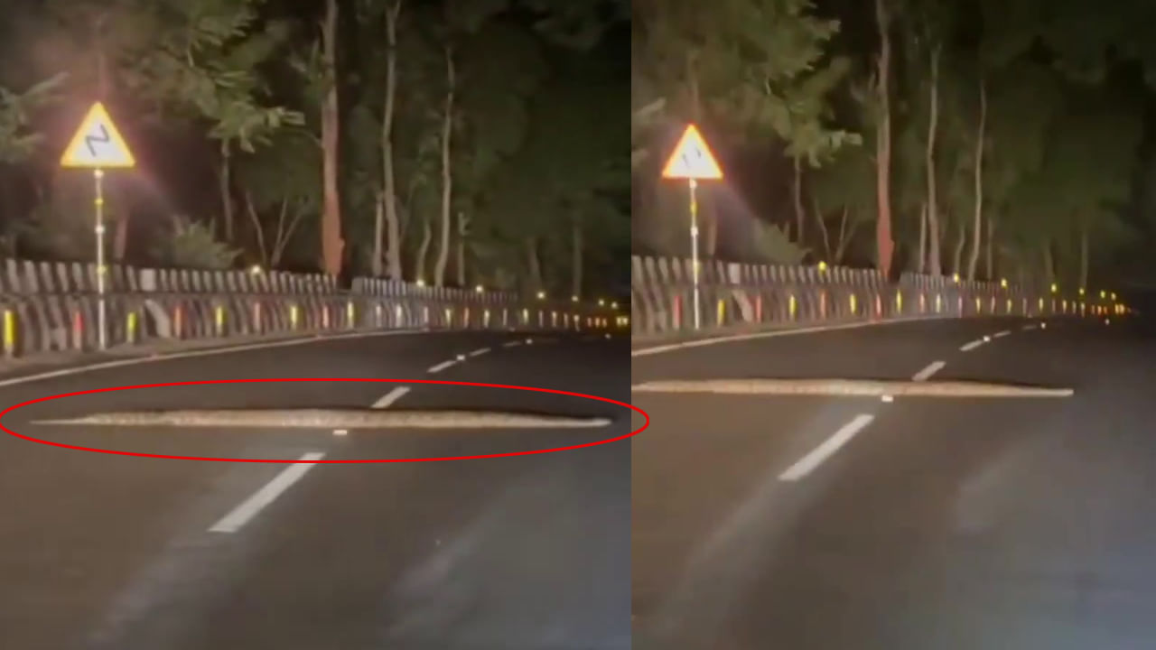 Python Video: అయ్య బాబోయ్.. ఇదేందిరా స్వామి ఇంత ఉంది.. ఎక్కడో తెలుసా..?