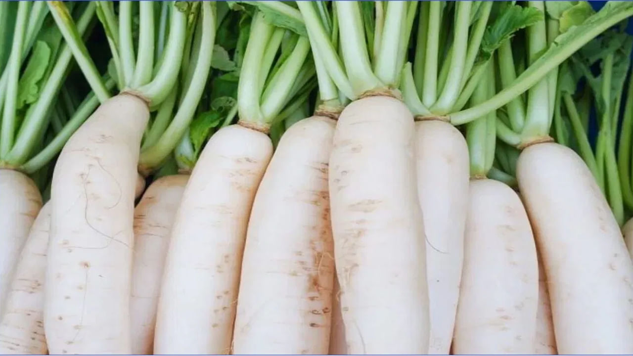  ముల్లంగిలో ఉండే విటమిన్ సి జలుబు, దగ్గుతో పోరాడటానికి సహాయపడుతుంది అలాగే రోగనిరోధక శక్తిని పెంచుతుంది. దీంతో పాటు ముల్లంగిలో అధిక నీటి శాతం ఉంటుంది, ఇది శరీరాన్ని హైడ్రేటెడ్‌గా ఉంచడంలో సహాయపడుతుంది. అలాగే ఇందులో ఎముకలను బలపరిచే కాల్షియం, భాస్వరం వంటి ఖనిజాలు ఉంటాయి. అంతేకాదు ముల్లంగిలో పొటాషియం పుష్కలంగా ఉండటం వల్ల, రక్తపోటును నియంత్రించడంలో కూడా ఇది సహాయపడుతుంది.