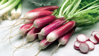 హిల్ టూర్‎కి వెళ్తే.. బ్యాగ్‎లో ఇవి పక్క.. లేదంటే ఇబ్బందులు..