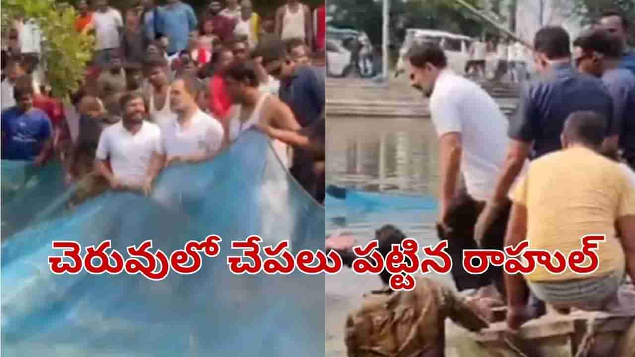 Rahul Gandhi: చెరువులోకి దిగి చేపలు పట్టిన రాహుల్ గాంధీ.. వీడియో చూశారా..