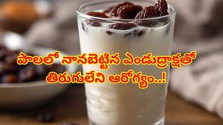 Health Benefits Of Roses: అందమైన గులాబీలతో అద్భుతమైన ఆరోగ్యం..లాభాలు తెలిస్తే అవాక్కే..