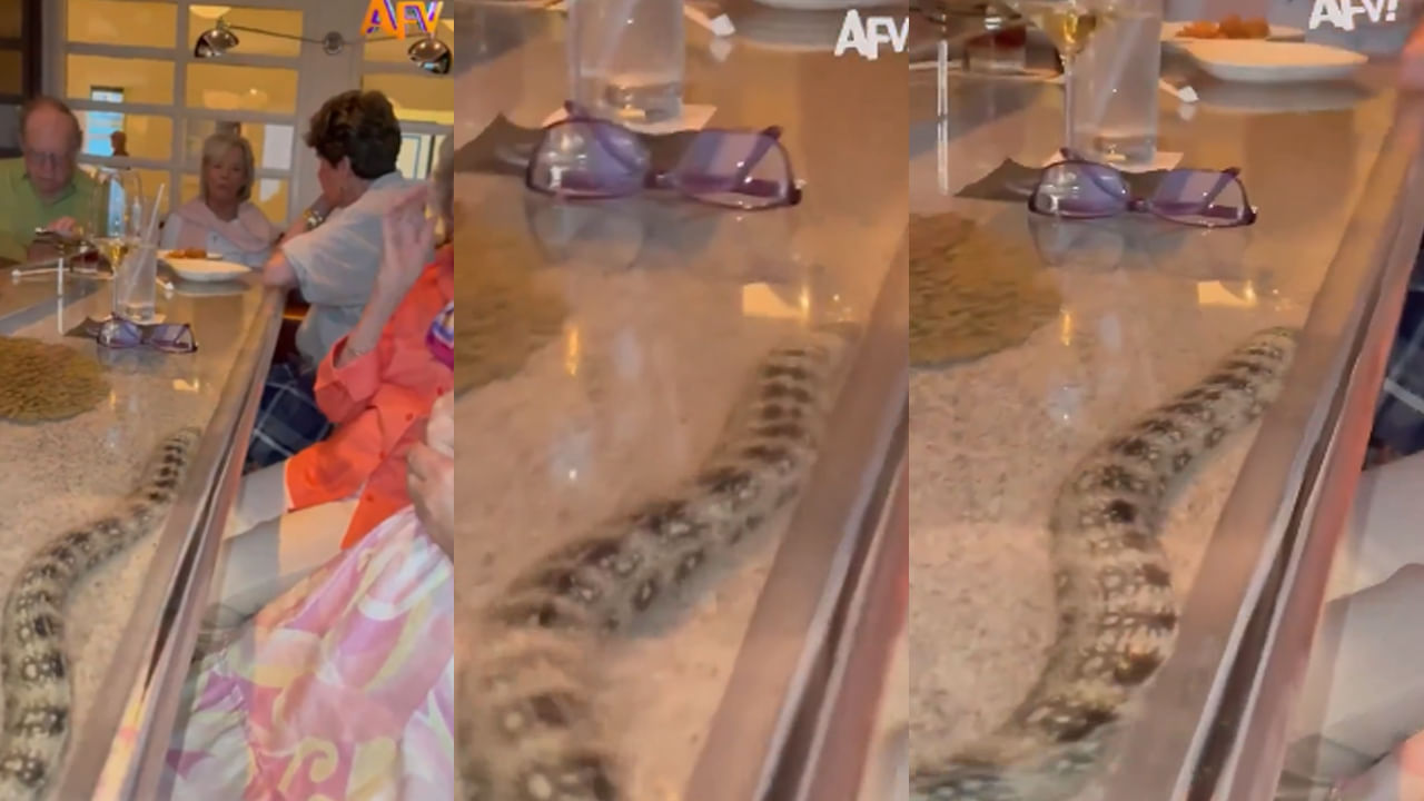 Rare Fish Sighting: రెస్టారెంట్‌లో కస్టమర్లకు వింత డిన్నర్.. గ్లాస్‌ టేబుల్ కింద కదులుతూ వచ్చిన చేప..