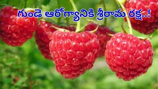 Health Tips: నోరు తెరిచి నిద్రపోతున్నారా.? ఈ వ్యాధులను రారమ్మన్నట్టే.. బీ కేర్‌ఫుల్.!