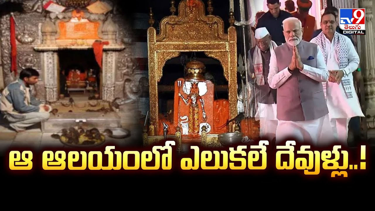 ఆ ఆలయంలో ఎలుకలే దేవుళ్లు..!