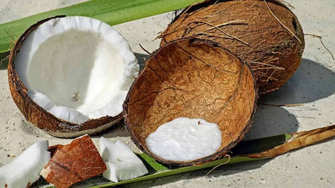 సహాజ శక్తి వనరు: పచ్చి కొబ్బరి శరీరానికి సహజమైన శక్తిని పెంచుతుంది. మీరు నిరంతరం అలసిపోయినట్లు లేదా బలహీనతో ఇబ్బంది పడుతుంటే.. పచ్చి కొబ్బరి మీకు దివ్యౌషధంగా పనిచేస్తుంది. పచ్చి కొబ్బరి శక్తిని అందించడంలో సహాయపడుతుంది. ఇందులో ఉండే మీడియం-చైన్ ట్రైగ్లిజరైడ్లు శరీరం సులభంగా జీర్ణమవుతాయి.