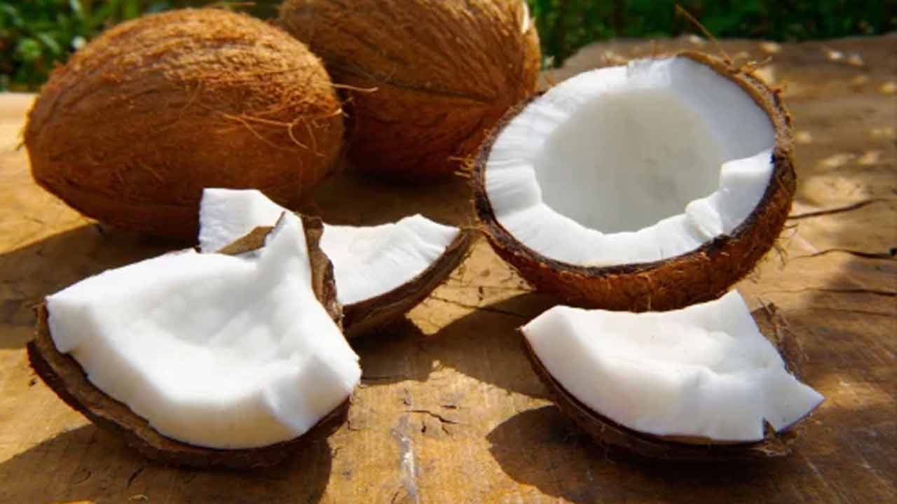 పోషకాల గని: పచ్చి కొబ్బరిలో పోషకాలు పుష్కలంగా ఉన్నాయి. విటమిన్ ఏ, విటమిన్ బి, విటమిన్ సి, థయామిన్, రైబో ఫ్లైవిన్, నియాసిన్, కాల్షియం, కార్బోహైడ్రేట్స్, ఐరన్ సమృద్ధిగా ఉంటాయి. పచ్చి కొబ్బరి శరీరానికి శక్తిని అందిస్తుంది. దీనిలోని పోషకాలు అవయవాలు చురగ్గా పనిచేయడానికి దోహదం చేస్తాయి. పచ్చి కొబ్బరిలో డైటరీ ఫైబర్ ఉంటుంది. ఇది మన జీర్ణక్రియకు సహాయపడుతుంది.