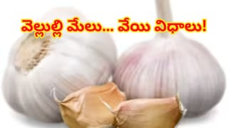 కొలెస్ట్రాల్‌ను కొవ్వొత్తిలా కరిగించే సూపర్‌ లడ్డు.. ఆరోగ్యానికి 12 అద్భుతమైన లాభాలు..