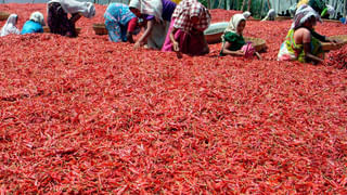 మెట్ల బావిలో మ్యూజిక్‌ కాన్సెర్ట్‌లు! మంగ్లీ, హేమచంద్రా వంటి స్టార్లు కూడా వస్తారు..