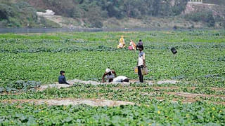 అసలేం జరుగుతోంది..? నిన్న శబరిమల.. నేడు కంచి.. దేవుళ్ళకే శఠగోపం పెడుతున్న కేటుగాళ్లు..!