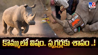 స్వాతంత్రం వచ్చాక తొలిసారిగా వెలిగిన కరెంటు బుగ్గ