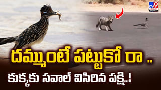 అదృష్టం అంటే ఇదే.. లక్కీ డ్రాలో పావుకేజీ బంగారం