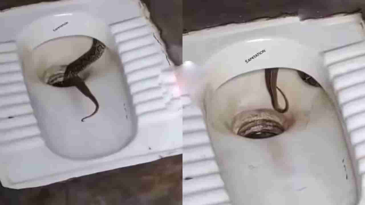 Snake In Toilet: టాయిలెట్‌ కమోడ్‌లో వింత శబ్ధాలు.. తీరా చూస్తే గుండె జారిపోయింది..!