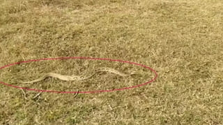 Andhra Weather: సినిమా మొదలెట్టిన ‘దిత్వా’ తుపాన్.. శుక్రవారం నుంచి వానలు దంచుడే