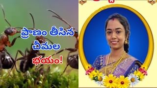 Telangana: రోడ్డు పక్కన ఏవో వింత ఆకారాలు.. ఫోన్ కెమెరాతో కాస్త జూమ్ చేసి చూడగా