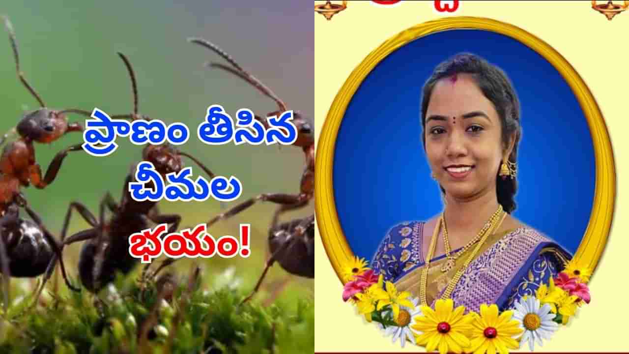 Telangana: ఈ చీమలతో బతకడం నా వల్ల కాదు!.. కన్నీళ్లు పెట్టిస్తున్న వివాహిత సూసైడ్ నోట్