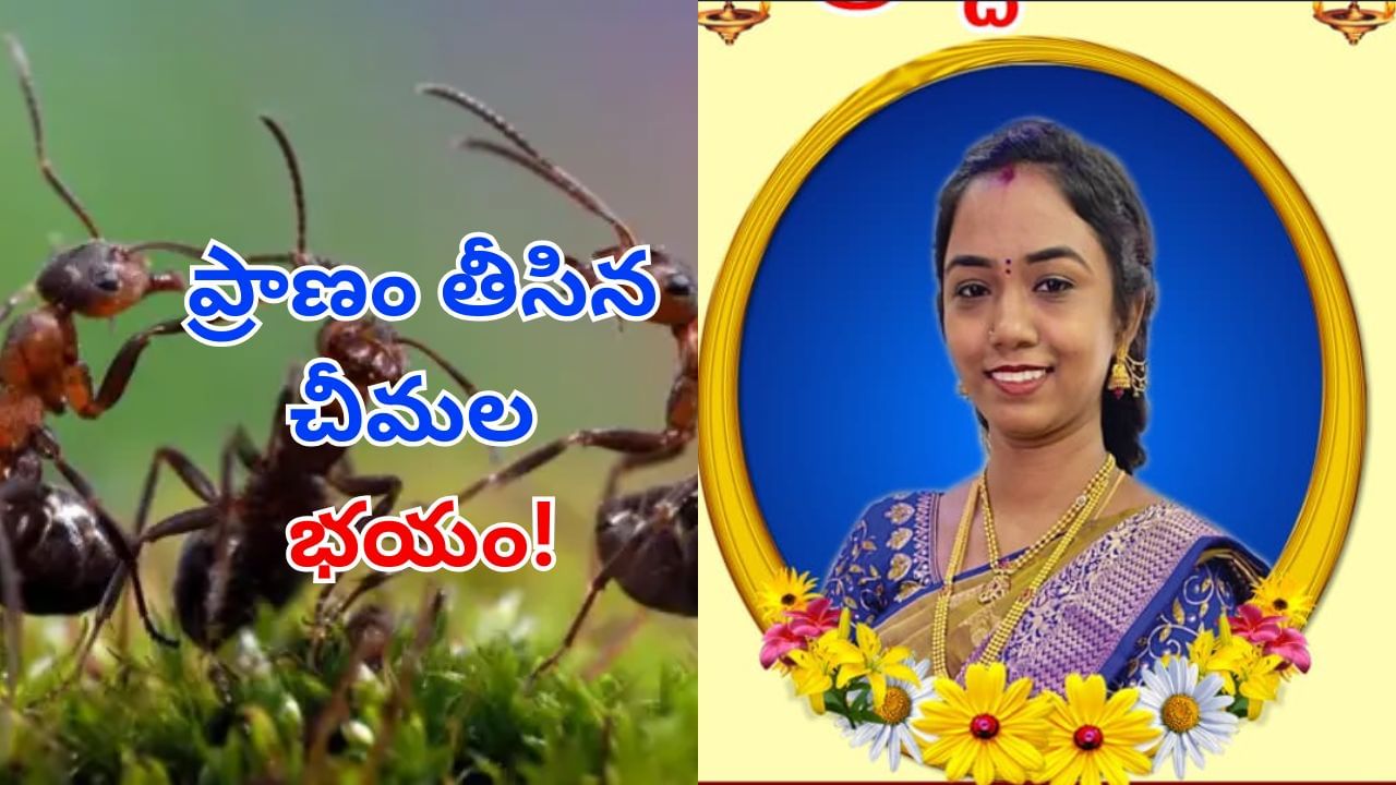 Telangana: ఈ చీమలతో బతకడం నా వల్ల కాదు!.. కన్నీళ్లు పెట్టిస్తున్న వివాహిత సూసైడ్ నోట్