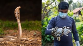 Sarpa Mitra: మీ నివాసాల్లోకి పాములొచ్చాయా? డోంట్‌ వర్రీ.. ఈ ఒక్క కాల్‌తో సమస్యకు చెక్‌..