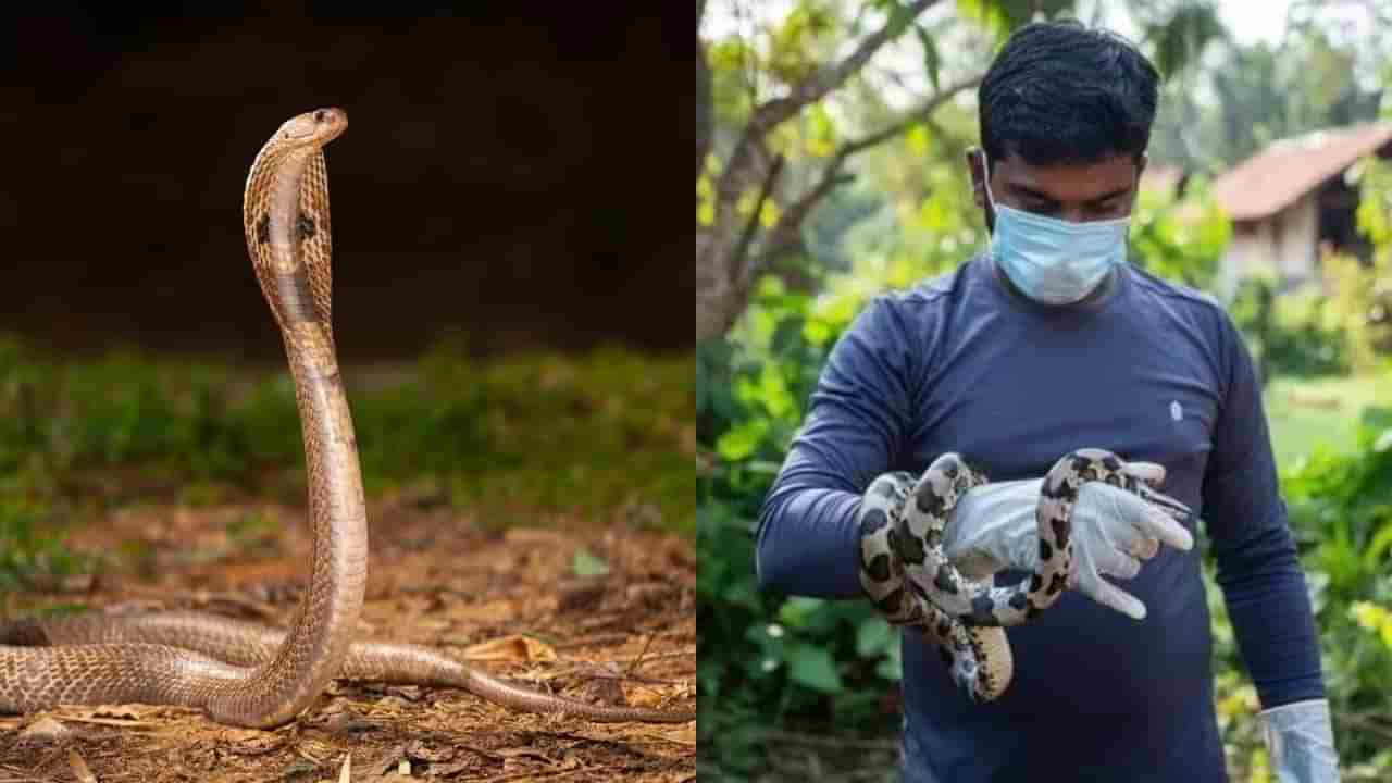 Sarpa Mitra: మీ నివాసాల్లోకి పాములొచ్చాయా? డోంట్‌ వర్రీ.. ఈ ఒక్క కాల్‌తో సమస్యకు చెక్‌..