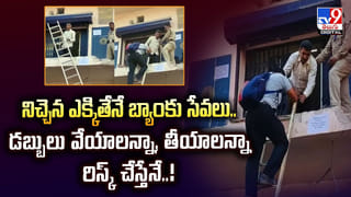 Pit Bull: పిట్‌ బుల్స్‌ దాడిలో యువతి మృతి