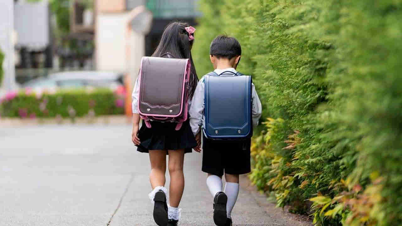 School Bags: ఈ స్కూల్‌ బ్యాగు ఖరీదు అక్షరాల రూ.60 వేలు.. ఇంత ధర ఎందుకో తెలిస్తే షాకవుతారు!