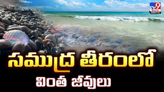 వీడు మామూలోడు కాదు.. హెల్మెట్‌కు బదులుగా మూకుడు