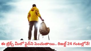 గుండె నుంచి షుగర్ వరకు.. ఈ ఆకు చేసే అద్భుతాలు తెలిస్తే అవాక్కే..