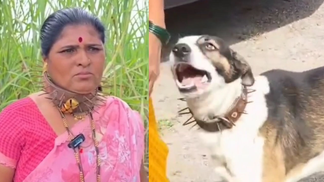 Viral: ఆ ఊరి జనంతో పాటు పశువులకు కూడా మెడకు ఇవి ఉంటాయ్.. ఎందుకో తెల్సా..?