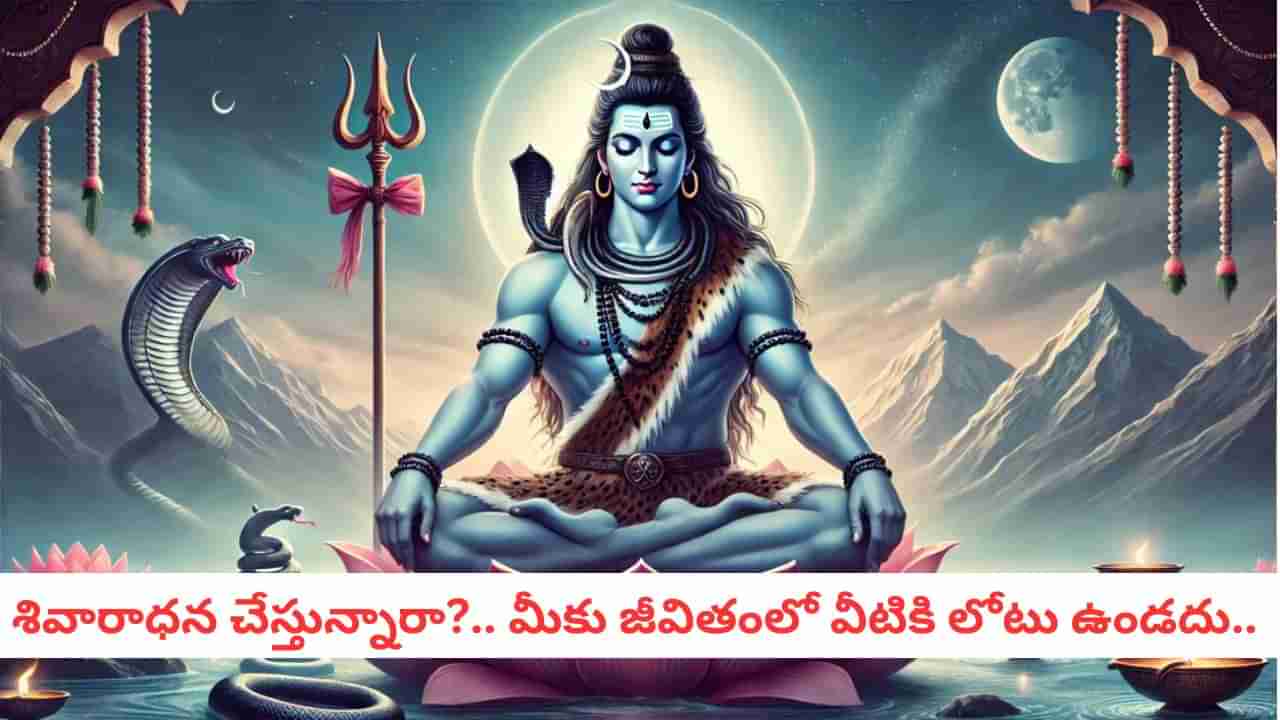 Lord Shiva: శివుడే వైరాగి.. మరి ఆయనను పూజించేవారికి సిరి సంపదలు అనుగ్రహిస్తాడా?..
