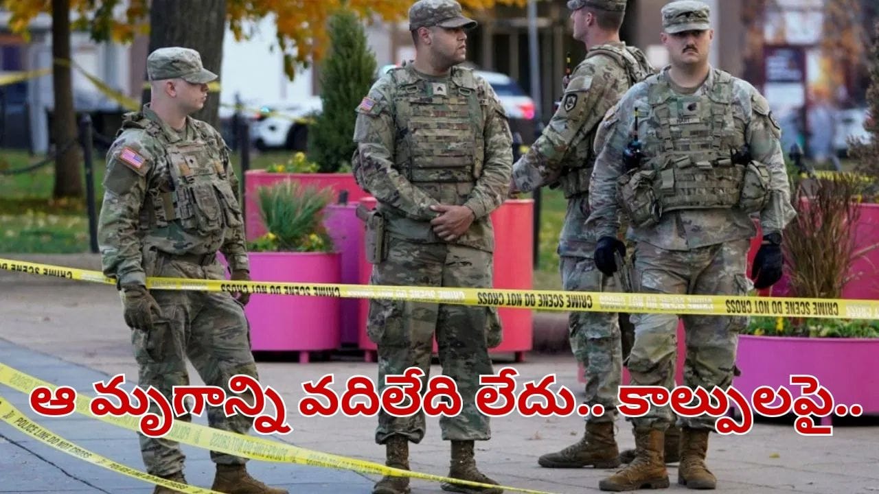 అమెరికా వైట్ హౌస్ దగ్గర కాల్పులు.. నేషనల్ గార్డ్స్కు తీవ్ర గాయాలు.. ట్రంప్ కీలక ఆదేశాలు..