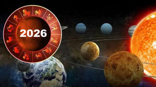 Papaya: బొప్పాయి వీరికి విషంతో సమానం.. ముట్టుకుంటే మటాషే!