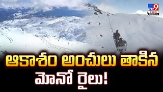 రూ.1.5 కోట్ల ఫ్లాట్.. పెన్సిల్‌తో గోడకు రంధ్రం ? వీడియో