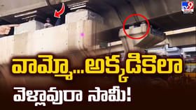 వామ్మో...అక్కడికెలా వెళ్లావురా సామీ !!