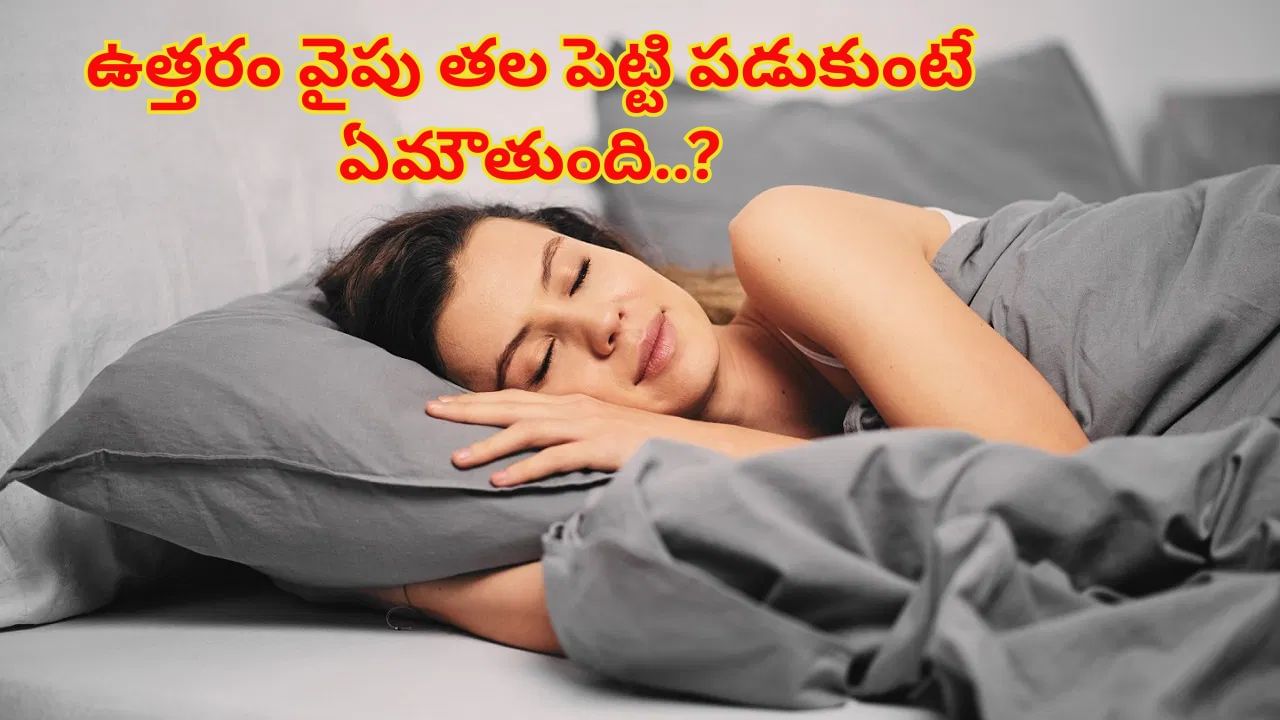 Vastu Tips for Sleeping: ఉత్తరం వైపు తల పెట్టి పడుకుంటే ఏమౌతుందో తెలుసా..? సైన్స్ కూడా ఇదే చెబుతోంది..