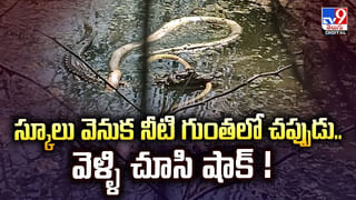 Gangula Kamalakar: సింగర్‌గా మారిన మాజీ మంత్రి.. బీసీ రిజర్వేషన్లపై గంగుల పాట.. యూట్యూబ్‌లో..