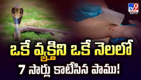 ఒకే వ్యక్తిని ఒకే నెలలో 7 సార్లు కాటేసిన పాము