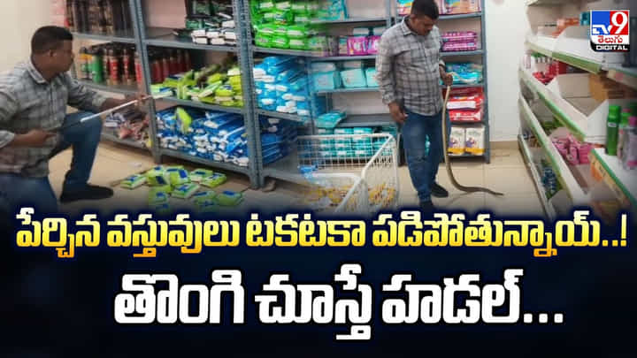 పేర్చిన వస్తువులు టకటకా పడిపోతున్నాయ్..! తొంగి చూస్తే హడల్ పేర్చిన వస్తువులు టకటకా పడిపోతున్నాయ్..! తొంగి చూస్తే హడల్