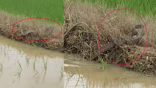 Vasavi Penugonda: పెనుగొండ ఊరి పేరు మార్పు వెనుక అసలు కథ ఇదే..! 