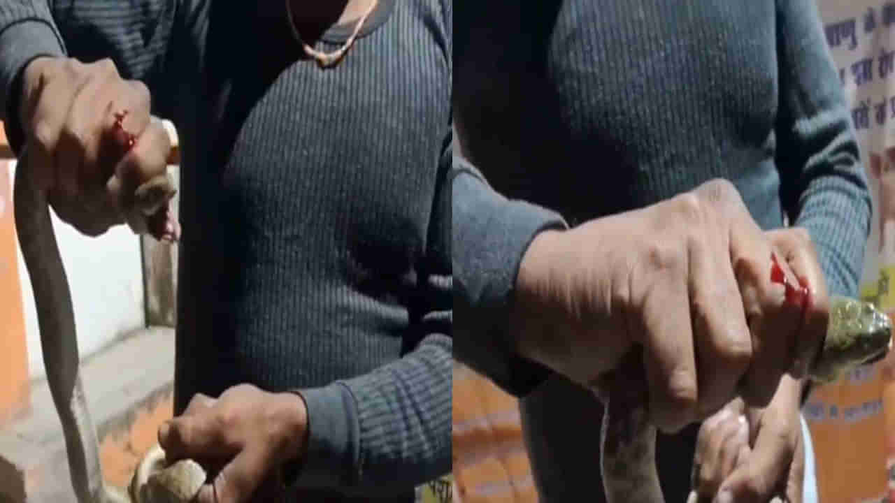 Viral Video: నీ గట్స్కో దండంరా బాబు..కరిచిన పామును దొర్కవట్టుకుని... ఆ వ్యక్తి చేసిన పనికి డాక్టర్లే షాక్