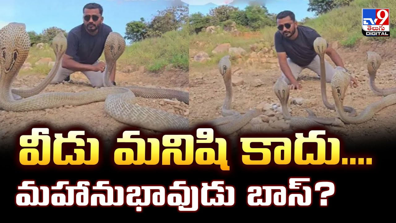 వీడు మనిషి కాదు.. మహానుభావుడు బాస్.. అలా ఎలా పట్టేసాడు